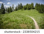 Small photo of Narrow mountain bike trail across Rolling green hillsides and pine trees in Greenhorn trail system in Ketchum Idaho in summer