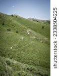 Small photo of Sweeping bike trail across Rolling green hillsides in Greenhorn trail system in Ketchum Idaho in summer