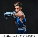 Handsome Young Boxer During...