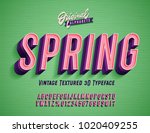 "spring" vintage 3d premium... | Shutterstock .eps vector #1020409255