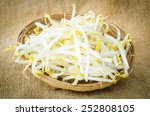 Mung beans or bean sprouts in weave basket.