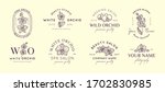 set orchid logos design... | Shutterstock .eps vector #1702830985