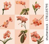 art collage orchid flower set... | Shutterstock .eps vector #1781135795