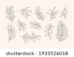 set of leaves and branch.... | Shutterstock .eps vector #1933526018