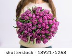 Woman holding Bunch of Pink Tulips. Round Bouquet of Tulips
