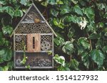 An Insect   Bug Hotel Hung On...