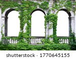 Stone arch covered with green ivy. Arch in greenery on a white background. 