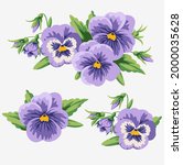 flat vintage violets and bud... | Shutterstock .eps vector #2000035628