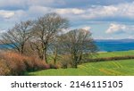 Small photo of Trees and Fields over English Village, Berry Pomeroy, Devon, England, Europe