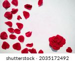 Red Rose Petals On A White...