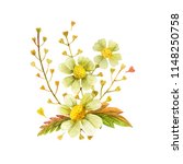 yellow wild plants boutonniere... | Shutterstock . vector #1148250758