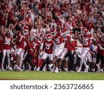 Small photo of Sept 16, 2023:NCAA Football, BYU 38:31 Ark- Razorbacks DBs Lorando Johnson (1), Dwight Mcglothern (2) Jaheim Singletary (15) celebrate during the game at Razorback Stadium, Fayetteville, AR.