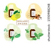 set with essential oils of... | Shutterstock .eps vector #1550988248
