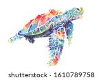 Illustration Sea Turtle Painted ...