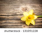 Yellow Daffodil On Rustic...
