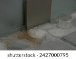 Small photo of Biofilm buildup in the crevices of pebble tile against an exterior glass shower wall as a result of faulty instillation.