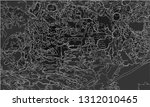 modern design.abstract texture... | Shutterstock .eps vector #1312010465