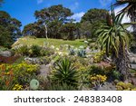 View Of Wellington Botanic...