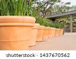 Terra Cotta Clay Pots Placed In ...
