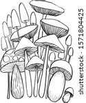 Mushroom Doodles Vector For...