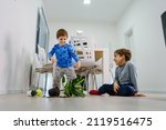 Small photo of two caucasian boys making mess in the house brothers playing and mischief with bad behavior flower pot damaged on the floor naughty kids having fun at home childhood and growing up concept