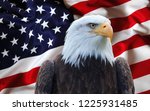 The American Flag With Eagle 