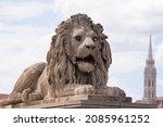 Lion statue on Chain Bridge in Budapest, Hungary