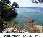 Rocky Beach Surrounded By Pine...