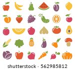 simple stylized icons of... | Shutterstock .eps vector #562985812
