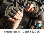 Small photo of Bait spoon fishing accessory. Victim of poaching. On hook. Fish caught. Fish hook or fishhook is device for catching either by impaling in mouth. Fish in trap close up.