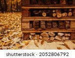 The big insect hotel in the...