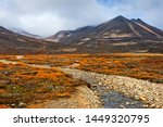 Autumn landscape. Beautiful arctic nature. A small river among the autumn tundra in a mountain valley. Travel to the extreme north. Mountain hikes and adventures. Chukotka, Siberia, Far East of Russia