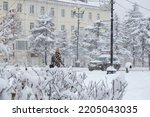 View of a snowy city street during a snowfall. Lots of snow on the sidewalk, bushes and trees. A woman walks along the sidewalk. The car is driving down the street. Cold snowy winter weather.