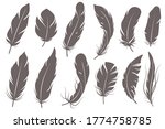 feather silhouettes. different... | Shutterstock .eps vector #1774758785