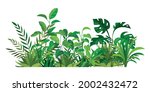 herbal green decor. beauty... | Shutterstock .eps vector #2002432472
