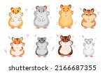 Hamster breeds. Cute little pets, different types, home rodents, funny fluffy animals various sizes and colors, cartoon flat style comic characters, swanky pet vector isolated mascot set