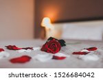 
Rose on the bed in the hotel rooms. Rose and her petals on the bed for a romantic evening
