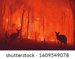Fire In Australia. Forest Fires ...
