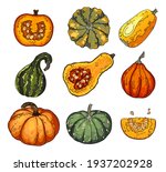 Colorful Pumpkin Set. Acorn...