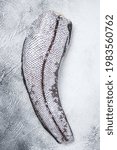 Small photo of Raw grenadier macrurus fish. White background. Top view
