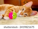 Small photo of Wolfie, a 10-week-old orange and white kitten, plays with a ball, June 7, 2023, in Coden, Alabama.