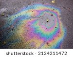 Small photo of Oil slick looks like a bird on the asphalt road background. Oil stain on Asphalt, color Gasoline fuel spots on Asphalt Road as Texture or Background