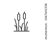 Reeds Plant Outline Icon....