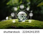 BCG concept for sustainable economic development. Bio-economy, circle economy, green economy.wooden cube with a BCG icon on a beautiful green background. The new economic model, or BCG model,