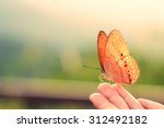Butterfly on hand in jungle the ...