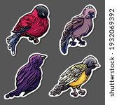 Stickers Of Birds On Grey...