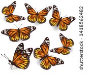 Vector Orange Butterflies...