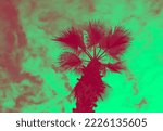 Palm tree with a red and green filter. Psychedelic photo filter