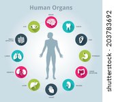 Medical Human Organs Icon Set...