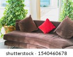 Small photo of House snuggery with comfortable brown sofa, pillows and greenery for relax and recreation. By bringing nature into your home and everyday life you improve your wellbeing